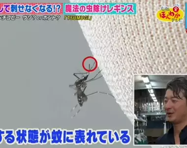 《穿上就能驅蟲的內搭褲》蚊子一靠近就會暈頭轉向 再也不用帶防蚊液出門了?