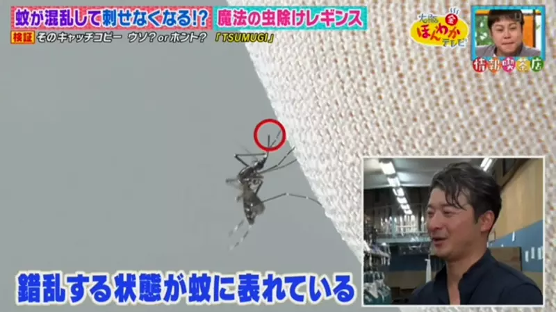 《穿上就能驅蟲的內搭褲》蚊子一靠近就會暈頭轉向 再也不用帶防蚊液出門了? 《穿上就能驅蟲的內搭褲》蚊子一靠近就會暈頭轉向 再也不用帶防蚊液出門了?