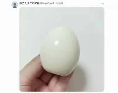 推特謎之帳號《水煮蛋每日記錄》每天只更新一種推文，那就是剝好的水煮蛋