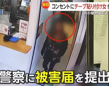日本人氣動物園《插座被貼膠帶事件》神祕女子把園內所有插座都用膠帶給貼了起來?