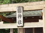 《箕越貓祠社》日本四國的貓神社 貓神大人保佑你事業順利和身體健康