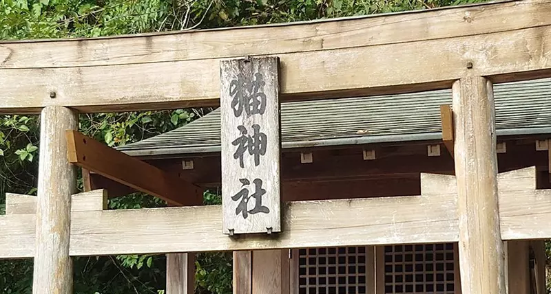 《箕越貓祠社》日本四國的貓神社 貓神大人保佑你事業順利和身體健康
