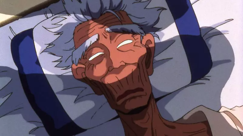 《宅宅的終活問題》收藏品可以等到臨終再處理？其實邁入中老年就會帶來麻煩了