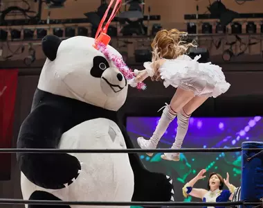 (物理)現實版魔法少女的攻擊方式 這其實是「東京女子職業摔角」手瑞希的精彩鏡頭