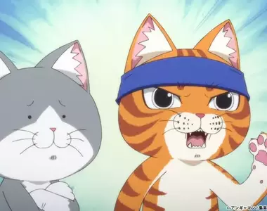 《寄放寵物卻被NTR》飼主第一次利用寵物旅館 驚見怕生的愛貓竟然跟保姆撒嬌