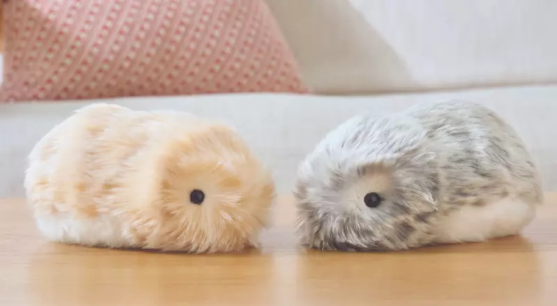 卡西歐推出《Moflin》可愛寵物機器 裝置內建AI系統還可以跟它培養感情 卡西歐推出《Moflin》可愛寵物機器 裝置內建AI系統還可以跟它培養感情