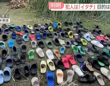 《幼稚園小孩室內鞋被盜事件》警方查看監控發現這兇手原來...不是人!?