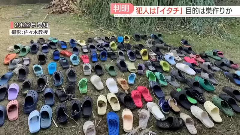 《幼稚園小孩室內鞋被盜事件》警方查看監控發現這兇手原來...不是人！？