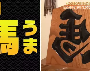 《左右反轉的馬》人家並不是寫錯字 而是日文祈求好運的寫法？