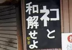 《與貓和解吧》日本人惡搞聖經告示牌 知名網路迷因遭註冊引發關注