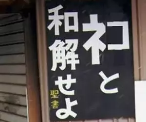 《與貓和解吧》日本人惡搞聖經告示牌 知名網路迷因遭註冊引發關注