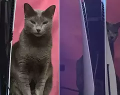 網友分享《PS5 Pro》散熱功能問題 對貓皇而言散熱功能太好反而不太滿意(怒)