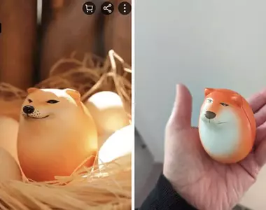 網友分享《網購失敗經驗》收到各種尺寸不合或商品不實的東西