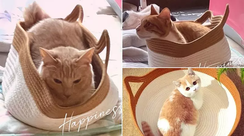 網友分享《尺寸搞錯了》問題 咦?奇怪~看得時候明明是?怎麼到手了之後差這麼多呢(摸頭) 網友分享《尺寸搞錯了》問題 咦?奇怪~看得時候明明是?怎麼到手了之後差這麼多呢(摸頭)