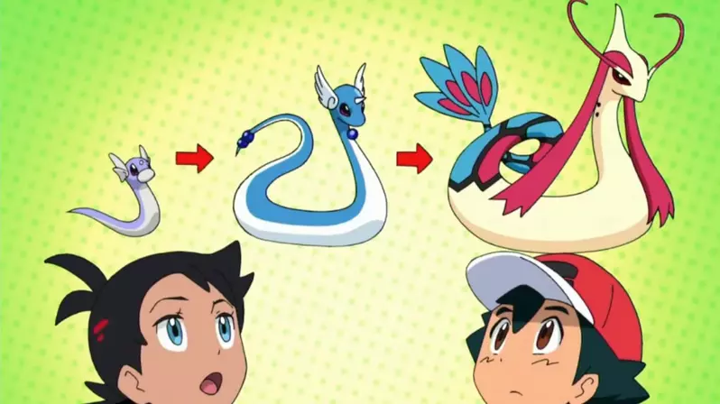 《寶可夢的罪過》誤用「進化」導致大眾誤會了?這種身體變化明明是「變態」 《寶可夢的罪過》誤用「進化」導致大眾誤會了?這種身體變化明明是「變態」