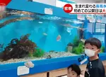 《長濱高中水族館》全國唯一開在學校內的水族館，社團活動選水族館部的話就可以在這裡工作唷