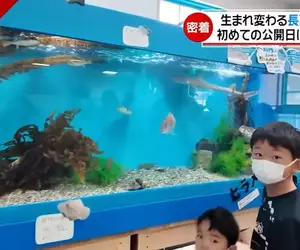 《長濱高中水族館》全國唯一開在學校內的水族館，社團活動選水族館部的話就可以在這裡工作唷