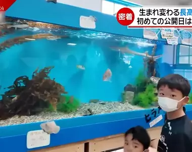 《長濱高中水族館》全國唯一開在學校內的水族館,社團活動選水族館部的話就可以在這裡工作唷