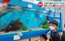 《長濱高中水族館》全國唯一開在學校內的水族館，社團活動選水族館部的話就可以在這裡工作唷