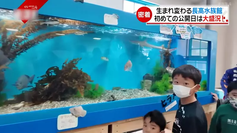 《長濱高中水族館》全國唯一開在學校內的水族館，社團活動選水族館部的話就可以在這裡工作唷