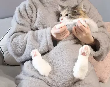 日本宜得利推出《人寵穿戴式毛毯》毛孩躲進去完全不想離開你，而且很快就能睡著~睡得超香的那種