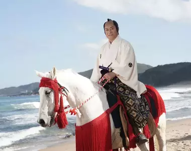 睽違17年大復活《暴坊將軍》將於2025年的1月播出全新系列,爺爺愛看的那個連續劇又回來惹(灑花)