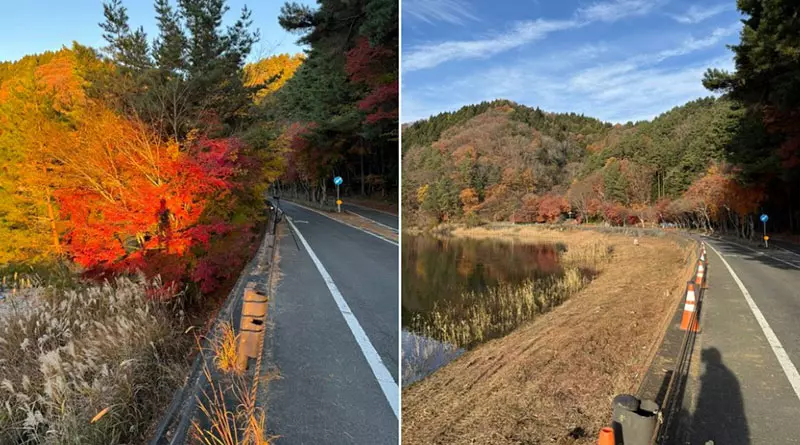 《富士山紅葉砍光光》日本攝影師發文控訴 引發贊成與反對砍樹派的激烈議論…… 《富士山紅葉砍光光》日本攝影師發文控訴 引發贊成與反對砍樹派的激烈議論……