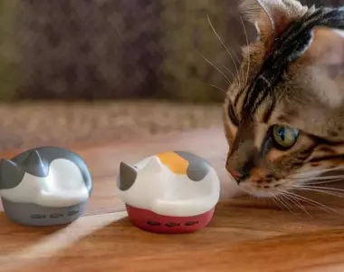 日本Radius推出《貓貓藍牙耳機》2025年再推三款新色登場