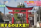 《神社鳥居吹起金屬風》傳統木造與石造缺點多 幸運☆星聖地神社也改成金屬製了