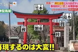 《神社鳥居吹起金屬風》傳統木造與石造缺點多 幸運☆星聖地神社也改成金屬製了