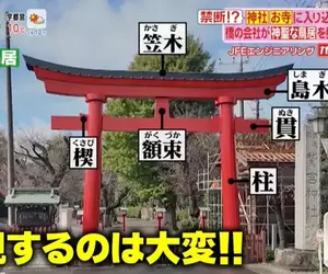 《神社鳥居吹起金屬風》傳統木造與石造缺點多 幸運☆星聖地神社也改成金屬製了