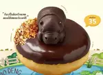 泰國Mister Donut新品《河馬寶寶甜甜圈》而且還只限當地販售的期間限定商品喔 泰國Mister Donut新品《河馬寶寶甜甜圈》而且還只限當地販售的期間限定商品喔