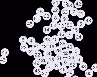 《數字引力模擬程式》宛如複雜的人際關係?日本網友們看到19彷彿看到現實的自己