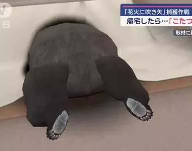 聖誕節前的驚魂《被爐裡藏了一頭熊》事件 這個姿勢好像會讓人產生一種大膽的想法！？