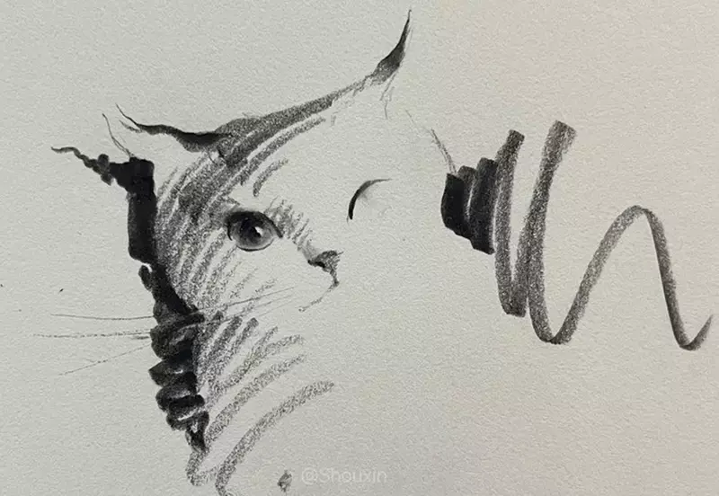 用最少的筆畫描繪可愛貓咪 想不到如此精簡的畫風也能營造出栩栩如生的效果