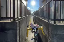 《被Google地圖導航給陰的人》真的要走這條路嗎？日本網友分享傻眼經驗