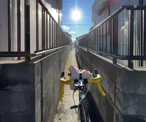 《被Google地圖導航給陰的人》真的要走這條路嗎？日本網友分享傻眼經驗