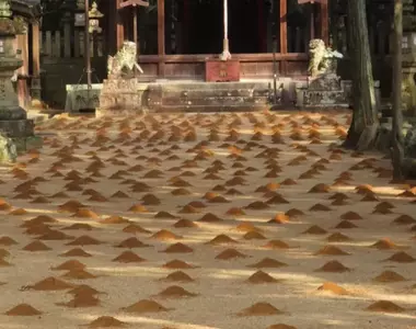 日本神社出現神祕土丘《新年傳統：砂餅》這是鼴鼠大軍出動的痕跡嗎？