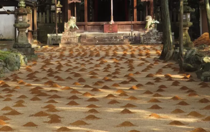 日本神社出現神祕土丘《新年傳統：砂餅》這是鼴鼠大軍出動的痕跡嗎？