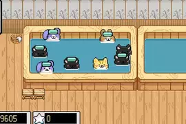 放置play遊戲《Animal Spa》Steam上架，預計2025年內推出，一款方便大家上班掛機摸魚的小品