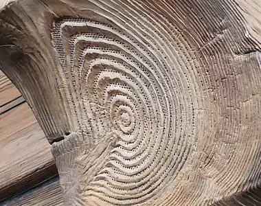 《東京迪士尼樂園的喇叭》超強隱身術讓遊客嘆為觀止 園區為了維護世界觀不遺餘力