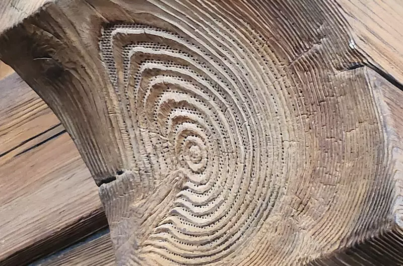 《東京迪士尼樂園的喇叭》超強隱身術讓遊客嘆為觀止 園區為了維護世界觀不遺餘力 《東京迪士尼樂園的喇叭》超強隱身術讓遊客嘆為觀止 園區為了維護世界觀不遺餘力