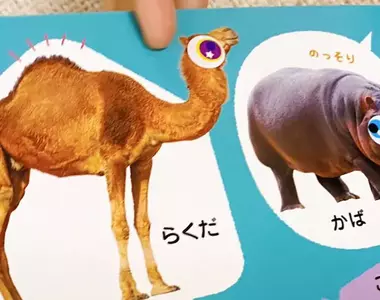 小朋友的趣味創意 兩歲女兒將動物圖鑑裡的動物都貼上了大眼睛(超可愛)
