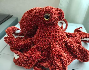 可以當成帽子戴在頭上的《章魚毛線編織家作品》這模樣真的像極了在海裡游得章魚