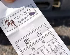 日本長樂寺的《貓吉籤》據說是比大吉還要厲害的存在,所有簽文都是在講貓,太可愛惹❤ 日本長樂寺的《貓吉籤》據說是比大吉還要厲害的存在,所有簽文都是在講貓,太可愛惹❤