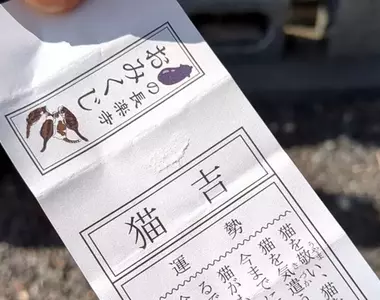 日本長樂寺的《貓吉籤》據說是比大吉還要厲害的存在,所有簽文都是在講貓,太可愛惹❤