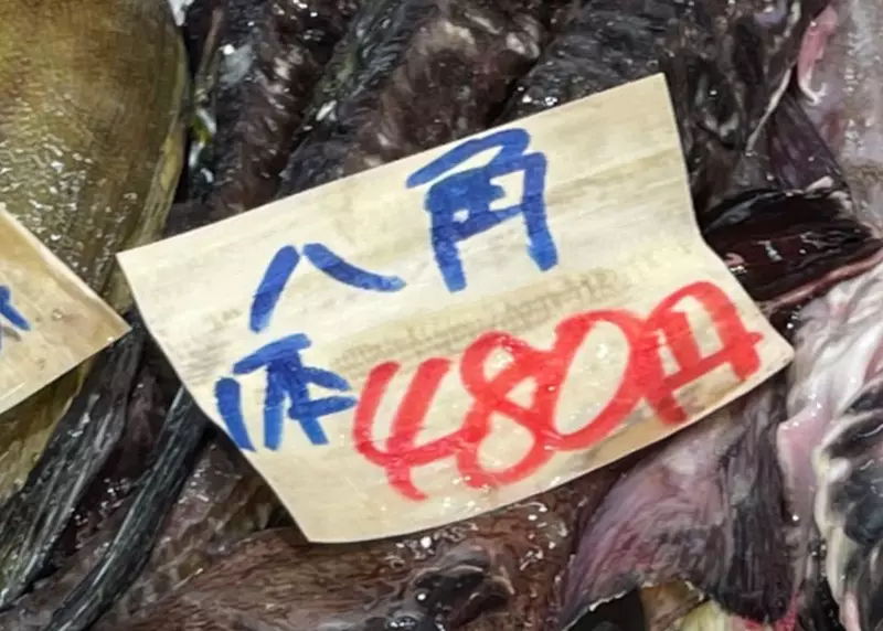 《日本北海道特色魚:八角》美味到讓人欲罷不能?住在外地的網友聽都沒聽過  《日本北海道特色魚:八角》美味到讓人欲罷不能?住在外地的網友聽都沒聽過