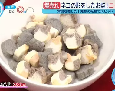 《貓型乾麵筋》日本烤麩老店創意商品 心型和星型都比不過可愛貓咪的魅力