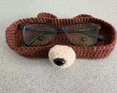 網友分享自己老婆編織的手工眼鏡袋 可愛的動物造型吸引網友注意