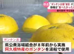 《澡堂停辦柚子湯》沒品客人偷吃又偷拿 被逮還反嗆老闆沒說不能吃？